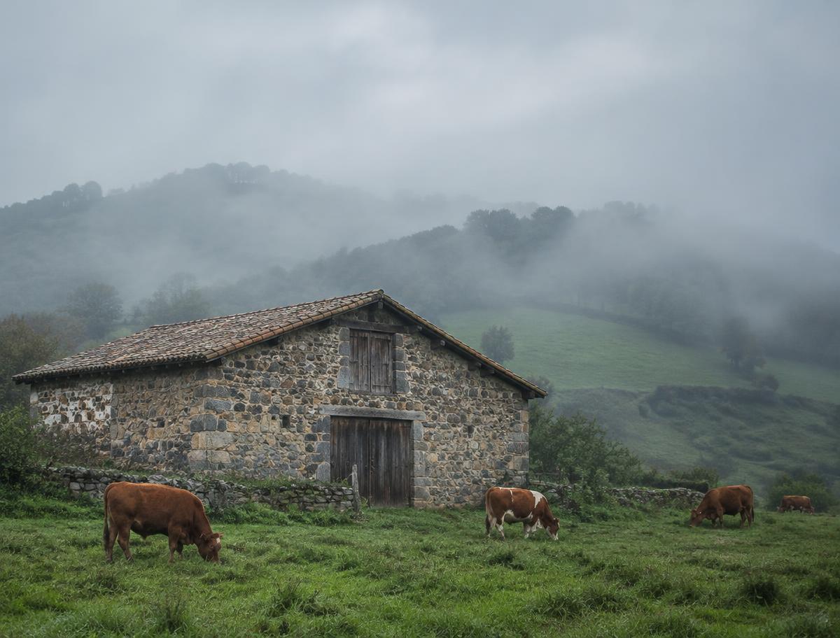 Instalaciones rurales en Asturias